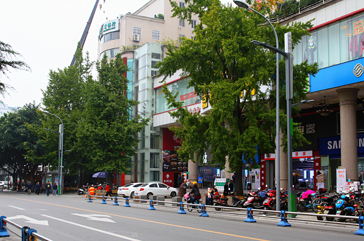 智慧路燈效果圖720 智慧路燈效果圖720